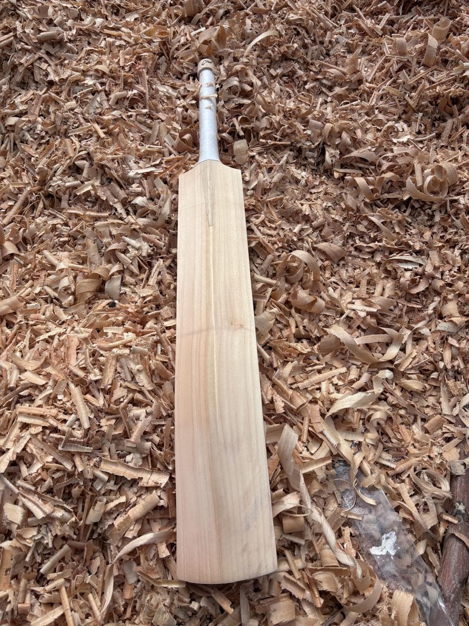 Selected Willow