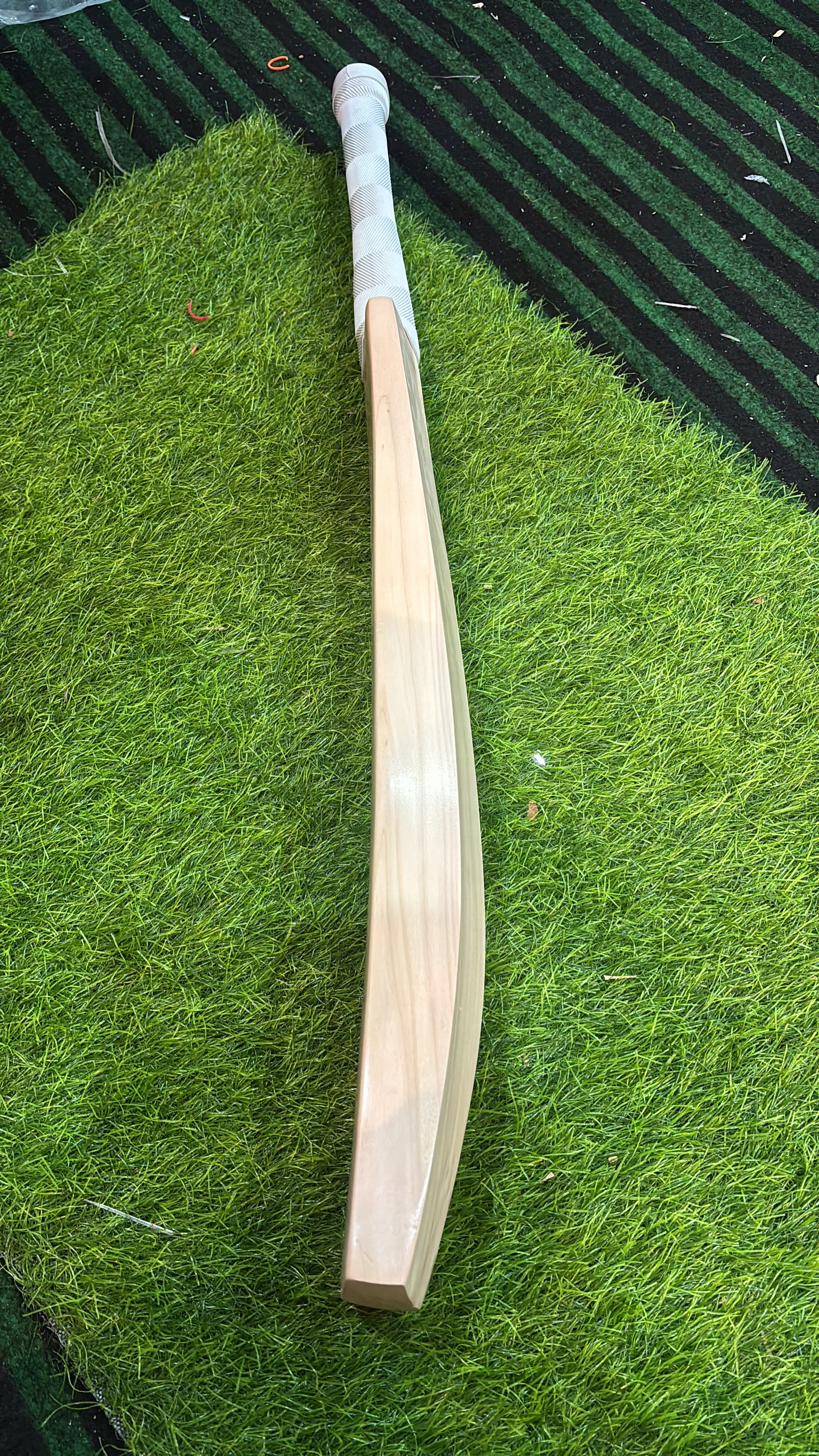 Kashmir Willow
